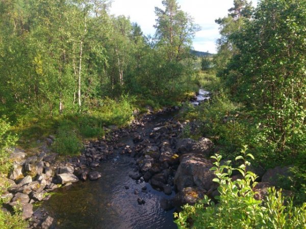 DSC_7219_red.jpg DSC_7219_red.jpg