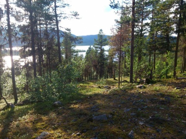 DSC_7243_red.jpg DSC_7243_red.jpg