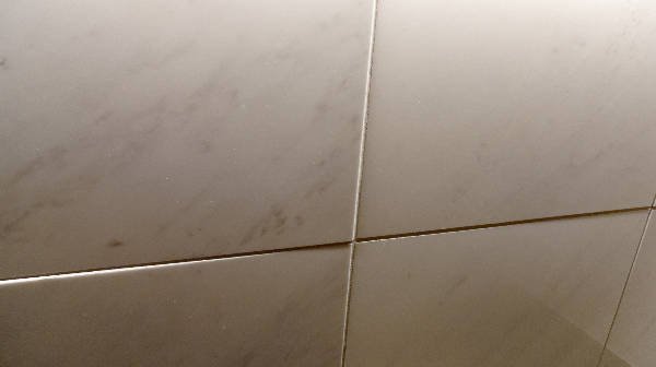 P1000680_600px_DxO.jpg P1000680_600px_DxO.jpg