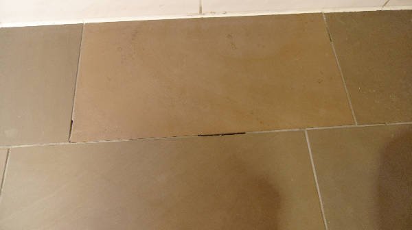 P1000681_600px_DxO.jpg P1000681_600px_DxO.jpg