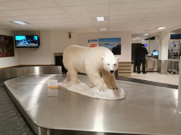 IMG_20200203_142637.jpg IMG_20200203_142637.jpg