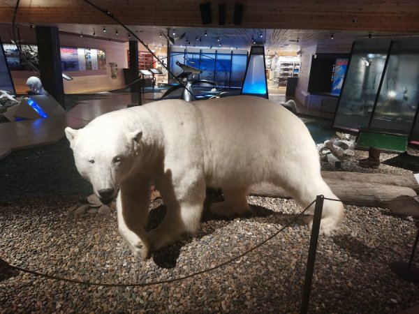 IMG_20200204_124643.jpg IMG_20200204_124643.jpg