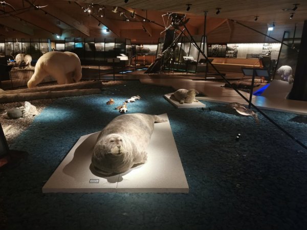 IMG_20200204_123316.jpg IMG_20200204_123316.jpg