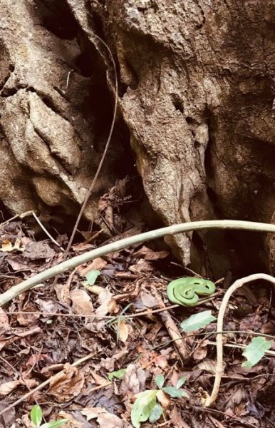 84662214_10218578562908683_3954467678957076480_o.jpg 84662214_10218578562908683_3954467678957076480_o.jpg