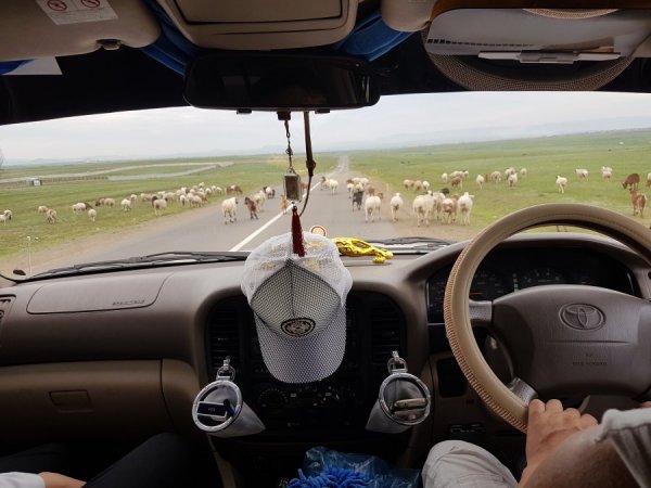 20180731_100425.jpg 20180731_100425.jpg