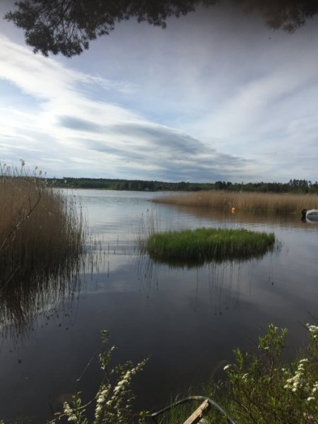 5358A31E-76B4-4491-A210-F6F8EC46FA46.jpeg 5358A31E-76B4-4491-A210-F6F8EC46FA46.jpeg